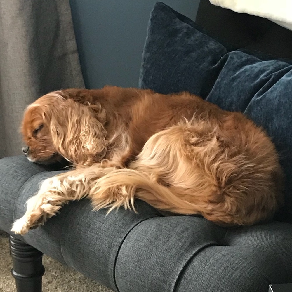 Meet your Posher, Roseann